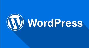WordPress Web Tasarım