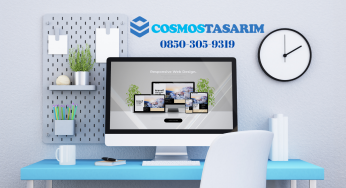 Alanya Web Tasarım